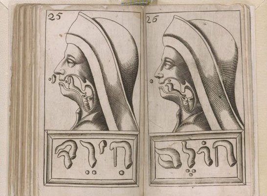 Franciscus Mercurius van Helmont, Alphabeti vere naturalis Hebraici brevissima delineatio (Sulzbach, 1667) Two anatomical drawings showing profiles with Hebrew letters.