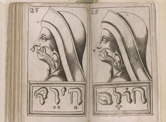 Franciscus Mercurius van Helmont, Alphabeti vere naturalis Hebraici brevissima delineatio (Sulzbach, 1667) Two anatomical drawings showing profiles with Hebrew letters.