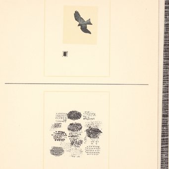 Lidia Firpo, Rom 1982 Lidia Firpo, Rom 1982